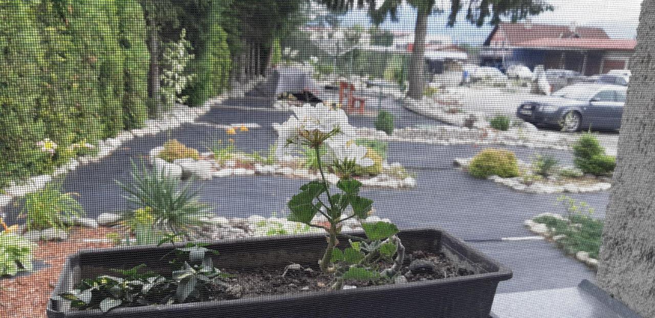 Apartman Yvet Sucany Exterior foto