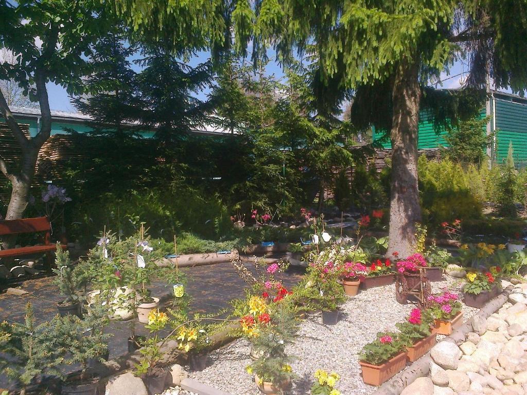 Apartman Yvet Sucany Exterior foto
